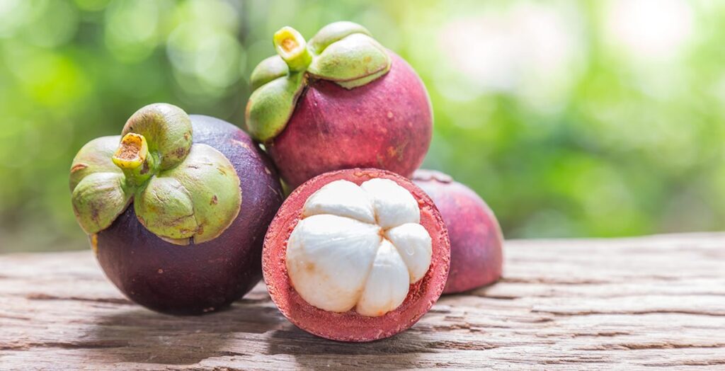 Mangosteen