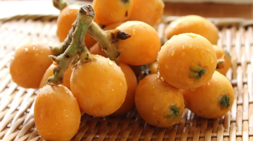Níspero Loquat