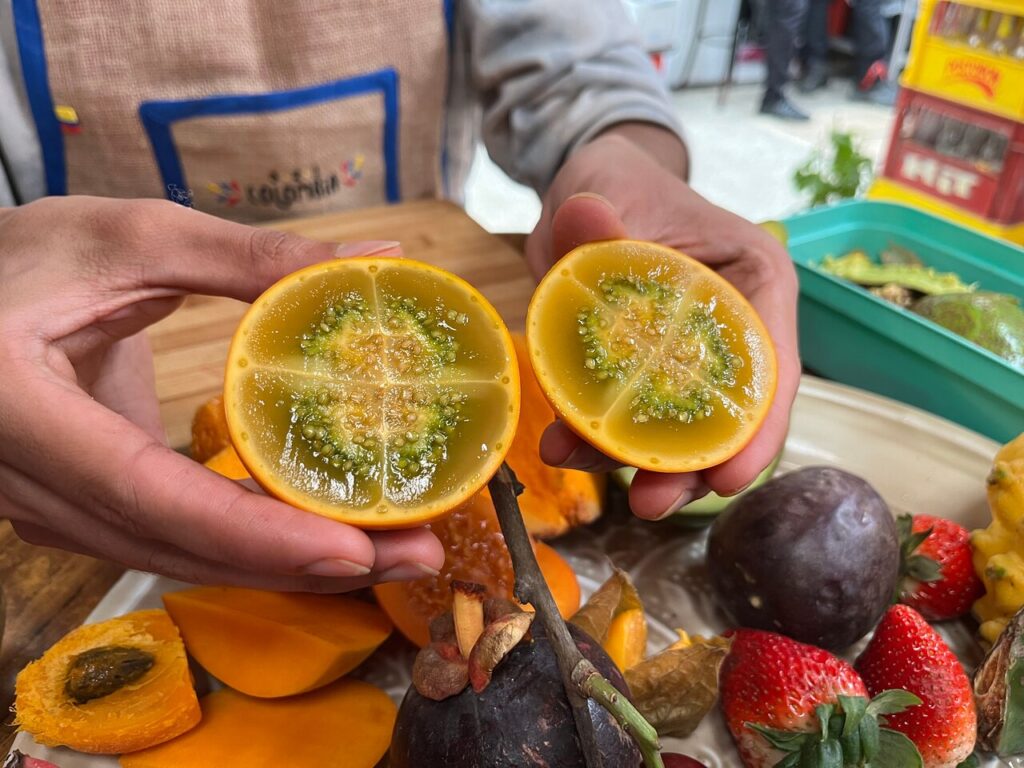 fruit tour bogota